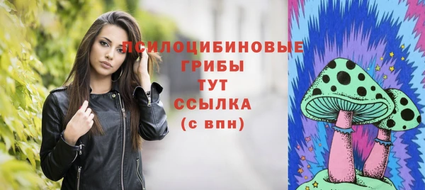 альфа пвп Няндома