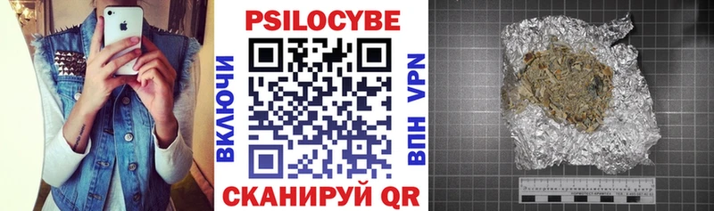 Галлюциногенные грибы мицелий  площадка клад  Новотроицк  omg как зайти 